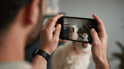 Capturing the Perfect Posed Shot: Tips for Photographing Your Pet at Home