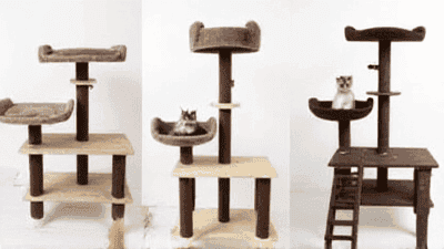 Comparison of the Top Cat Trees: A Guide to the Best Options for Your Feline